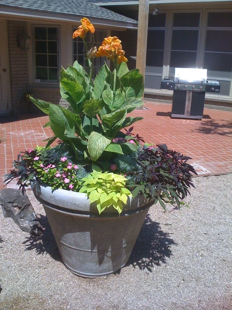 Lubbock Landscape Design, Installation, and Maintenance by Austex Landscape - Photo 8