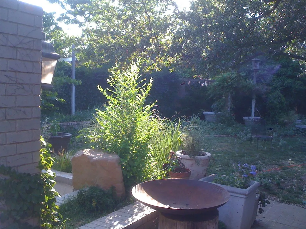 Lubbock Landscape Design, Installation, and Maintenance by Austex Landscape - Photo 29