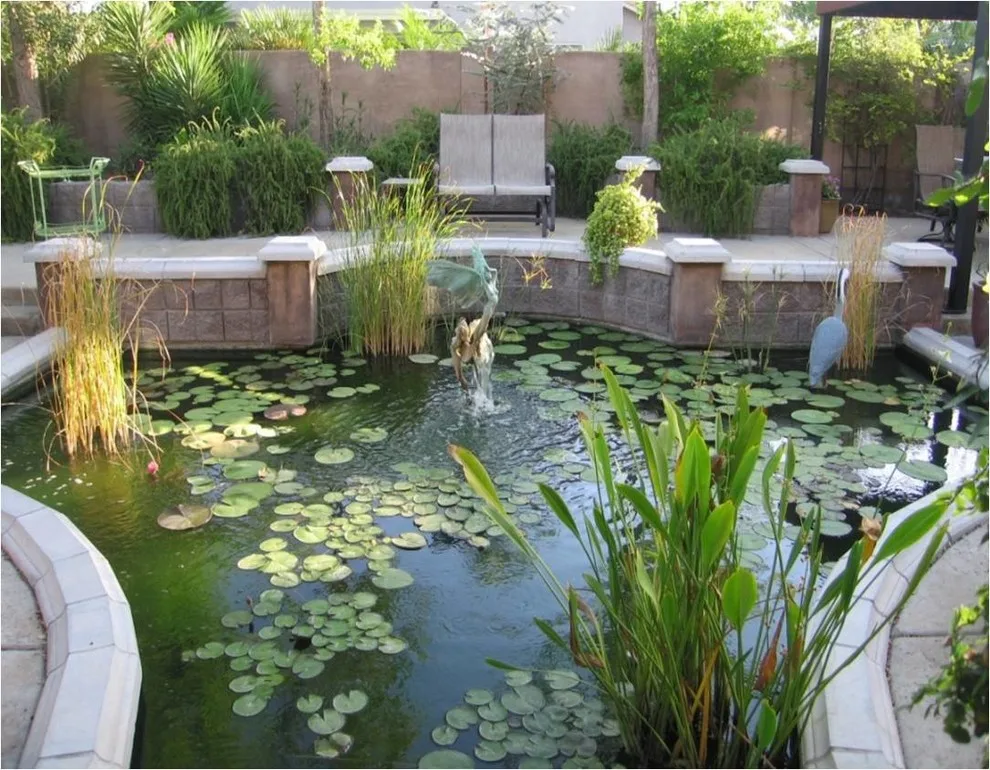 Mediterranean Oasis by Living Rooms Landscape Design - Photo 7