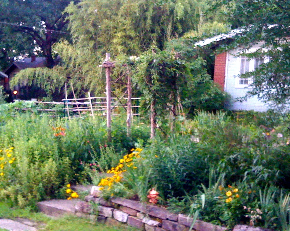 MESA Landscape Architects, Inc - Photo 13