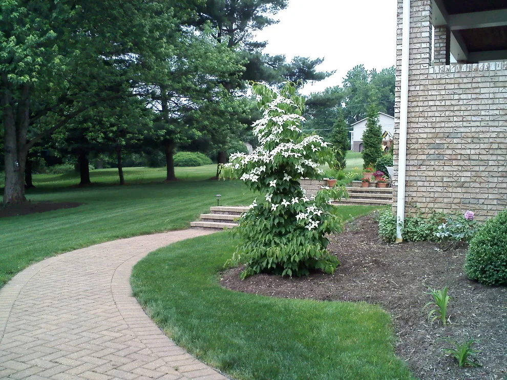 Roma Design-Build, Inc. - Photo 11
