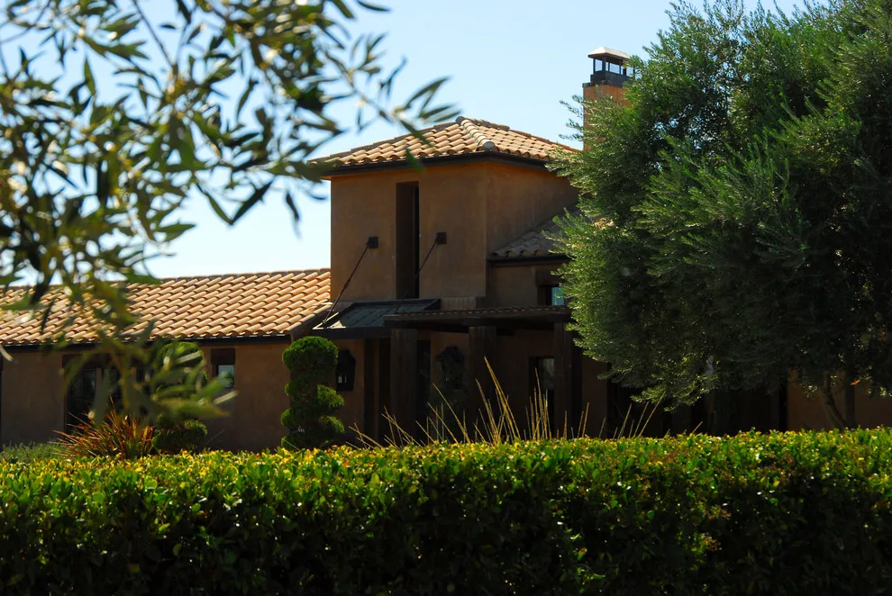Napa-Inspired Home by Westfall Design Studio - Photo 3