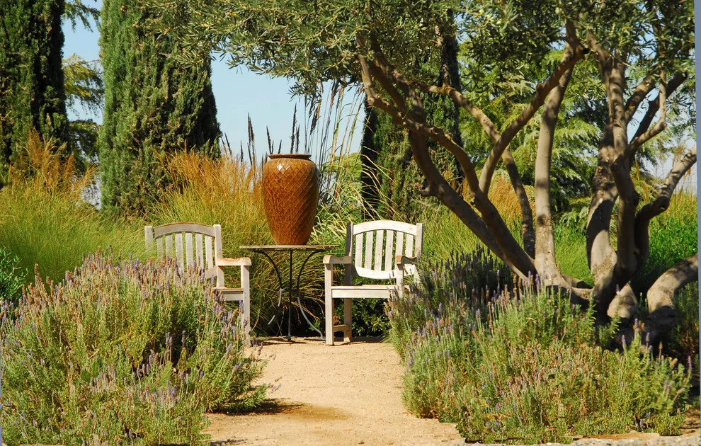 Napa-Inspired Home by Westfall Design Studio - Photo 6