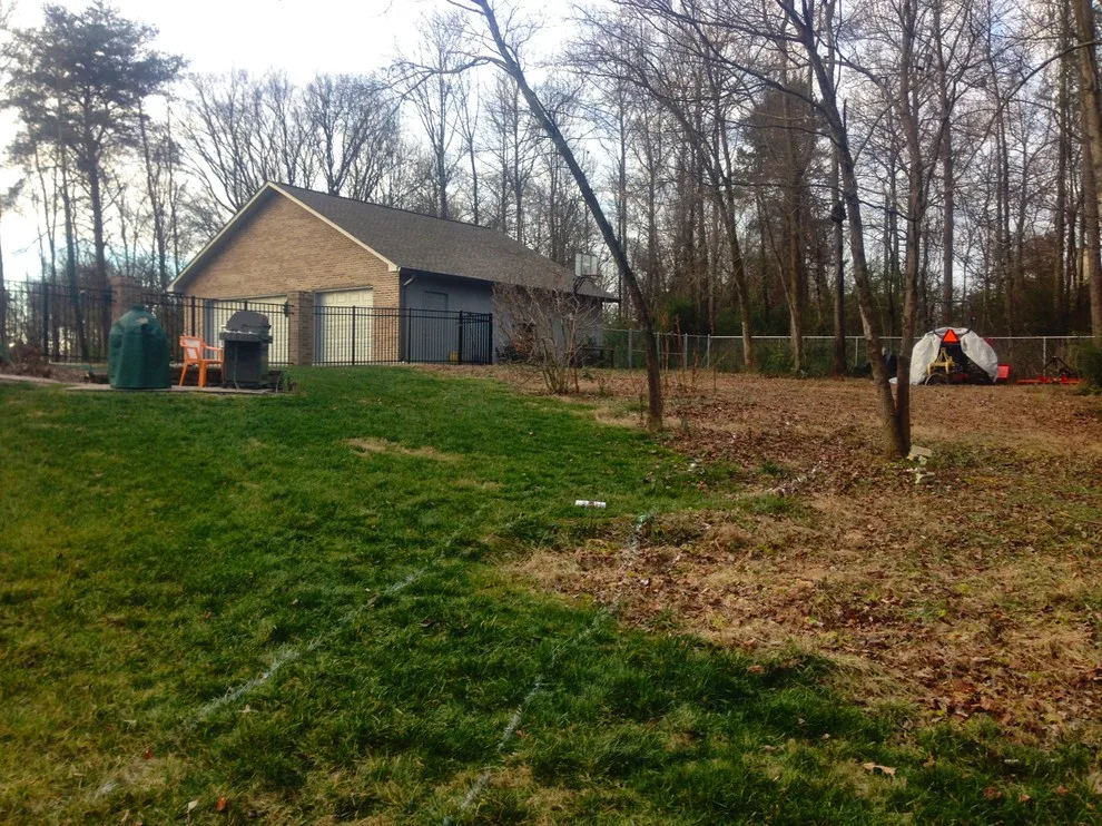 Natural Stream Transformation by The Lawn Butler - Photo 6