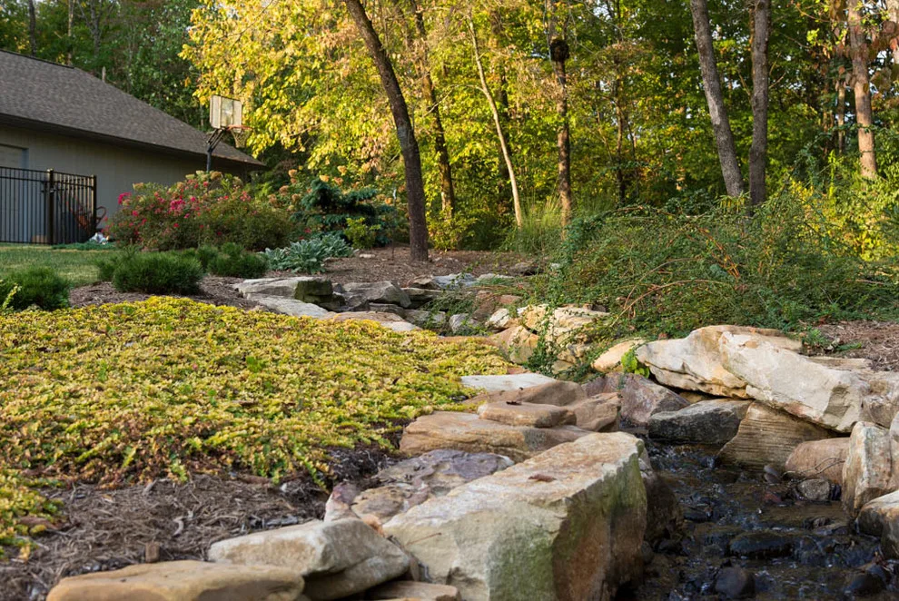Natural Stream Transformation by The Lawn Butler - Photo 5