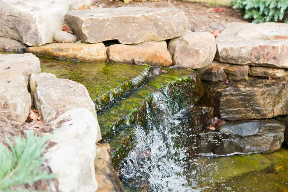 Natural Stream Transformation by The Lawn Butler - Photo 4