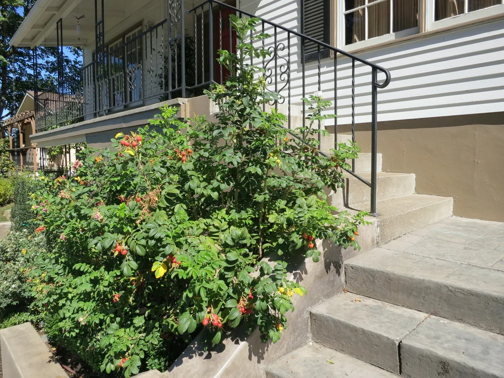 Schlesinger + Associates LLC - Photo 13