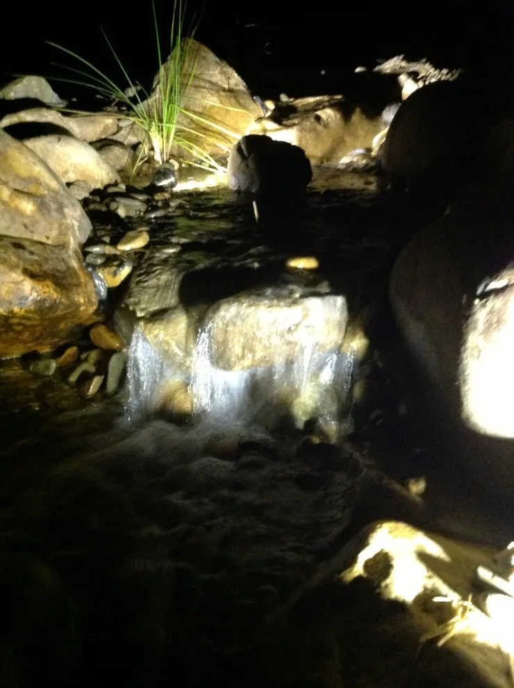 Nocturnal Illumination by Ryan Hanks - Photo 2