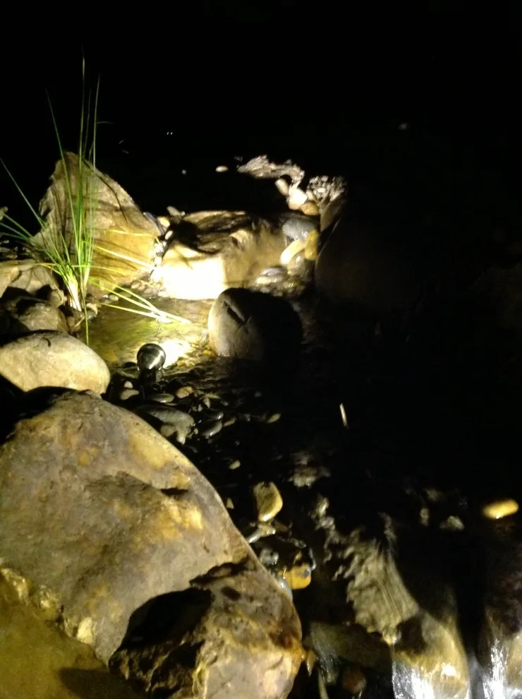 Nocturnal Illumination by Ryan Hanks - Photo 3