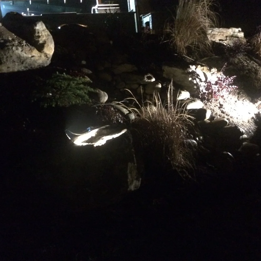 Nocturnal Illumination by Ryan Hanks - Photo 6
