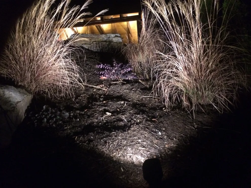 Nocturnal Illumination by Ryan Hanks - Photo 14