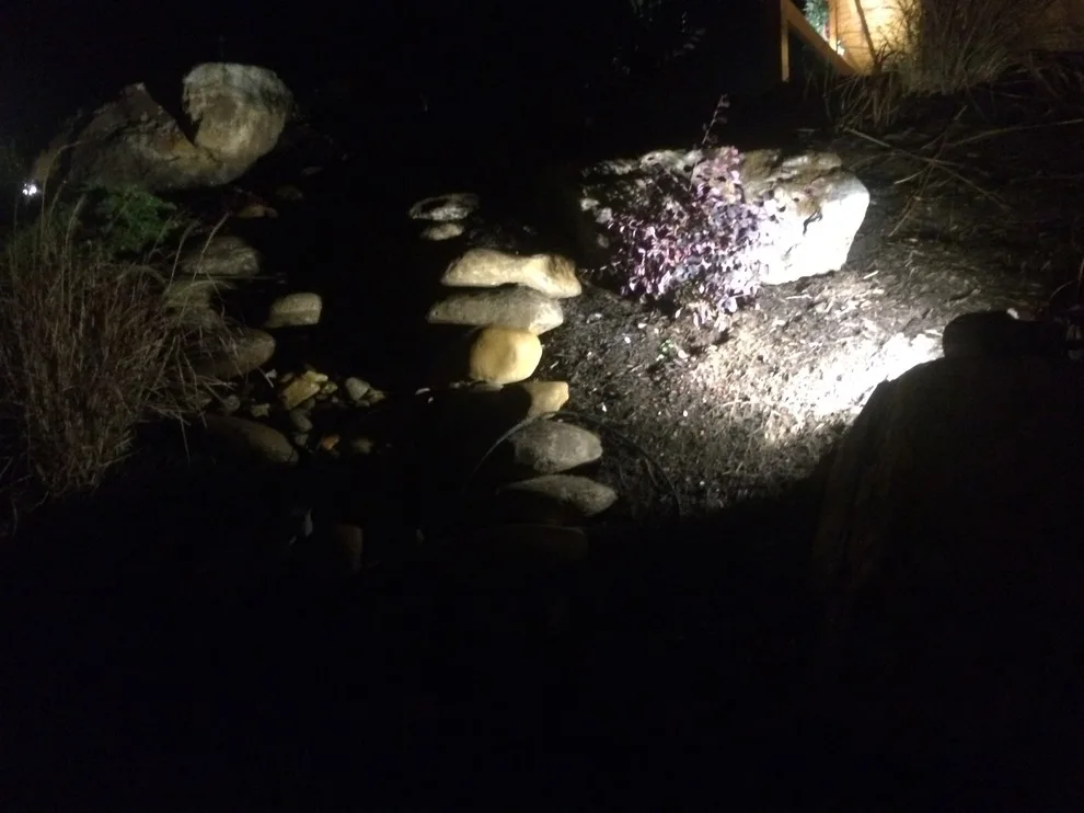 Nocturnal Illumination by Ryan Hanks - Photo 9