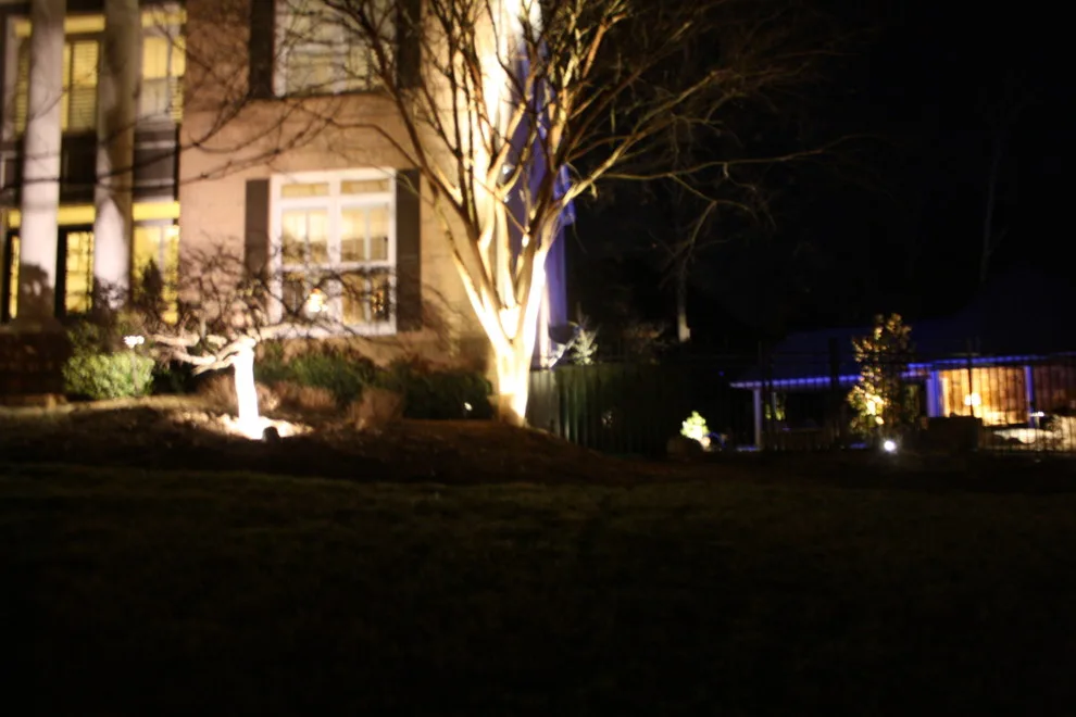 Nocturnal Illumination by Ryan Hanks - Photo 7