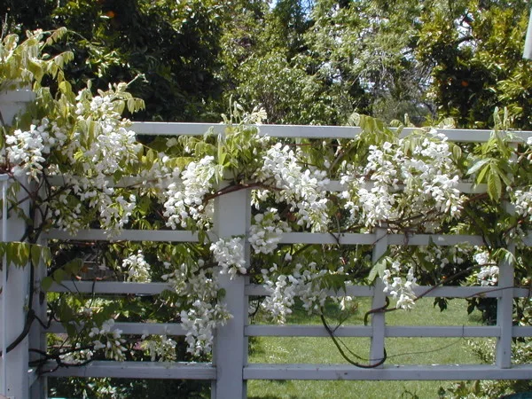 Gardens & Gables - Photo 14