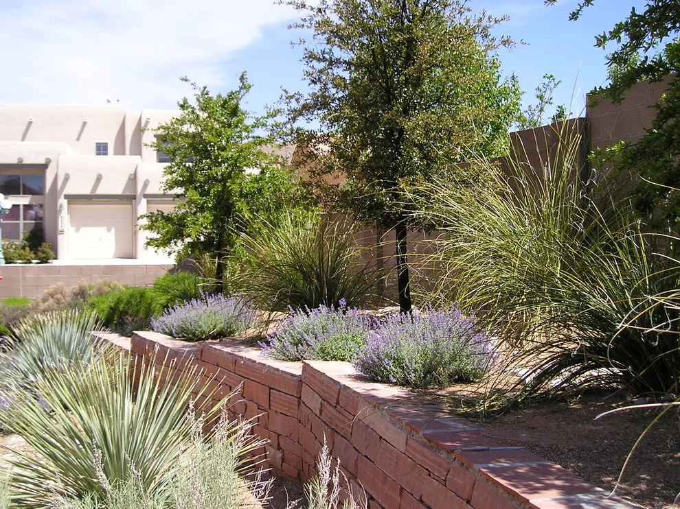 Albuquerque West Home A by Quercus - Photo 5