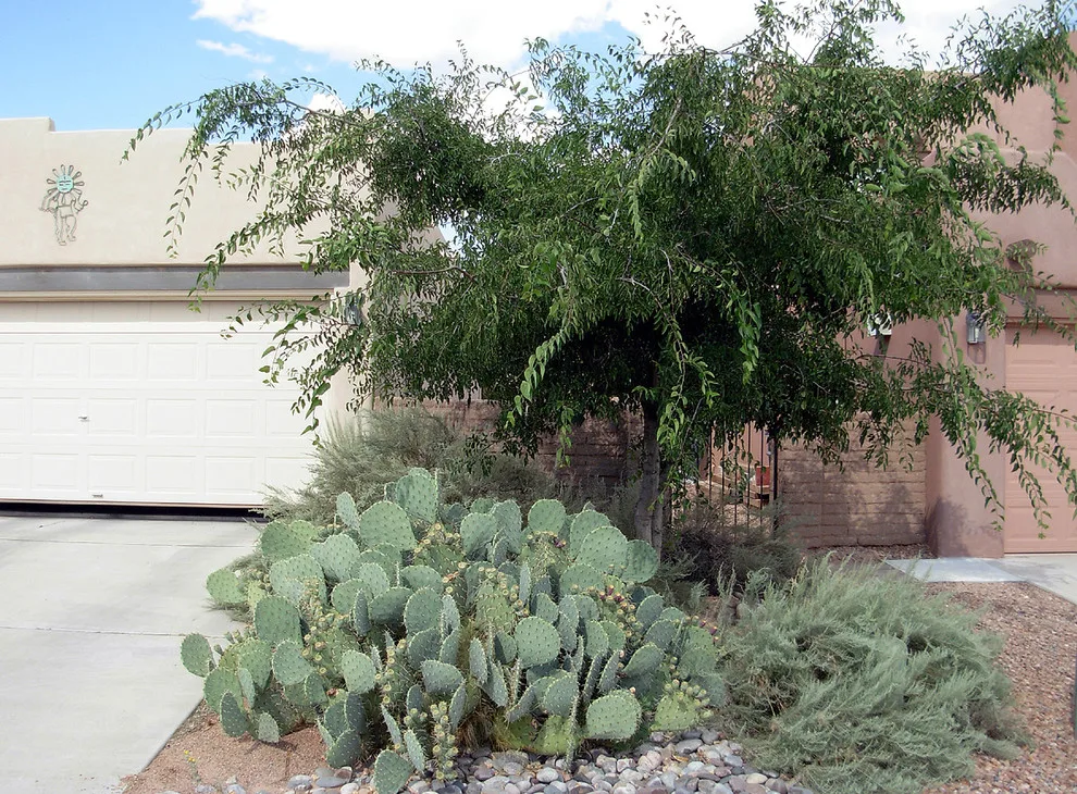 Albuquerque West Home A by Quercus - Photo 4