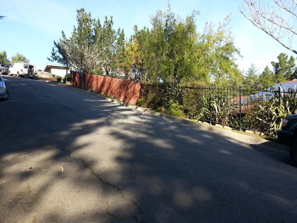 San Rafael Hillside Landscape Revitalization by Gardens & Gables - Photo 20