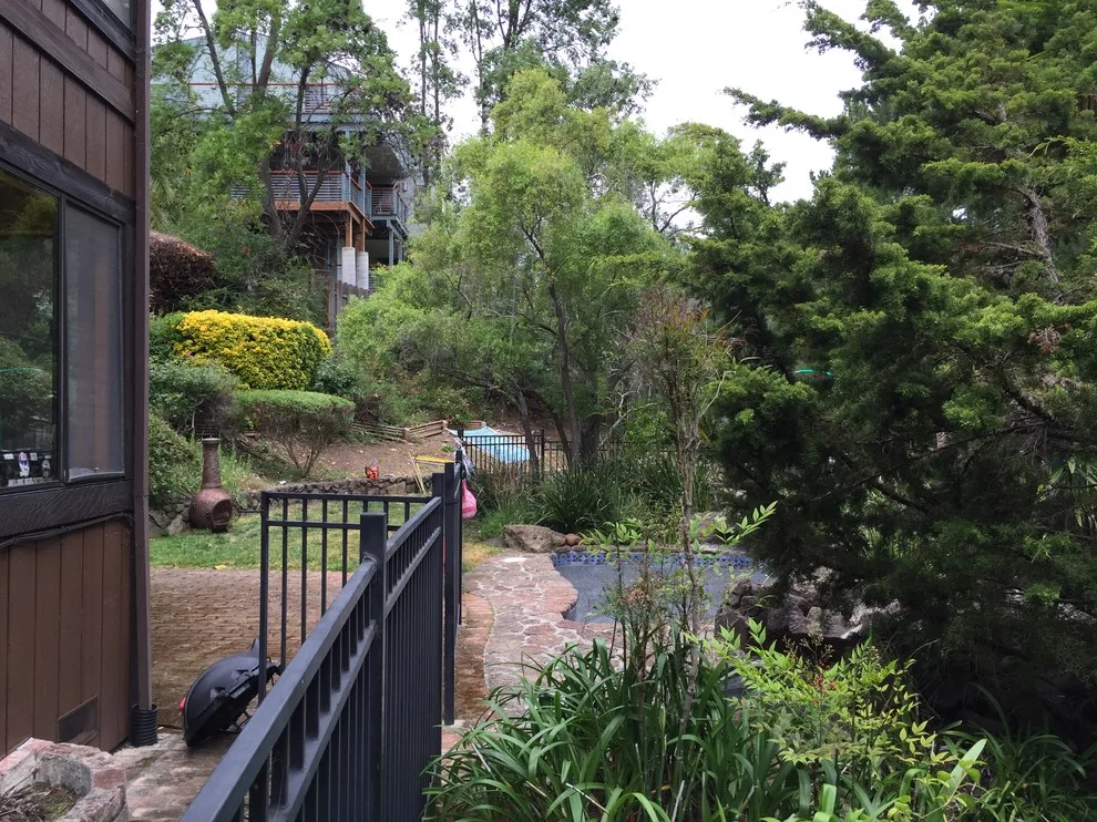 San Rafael Hillside Landscape Revitalization by Gardens & Gables - Photo 21