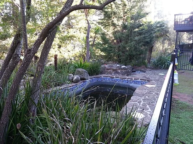 San Rafael Hillside Landscape Revitalization by Gardens & Gables - Photo 9