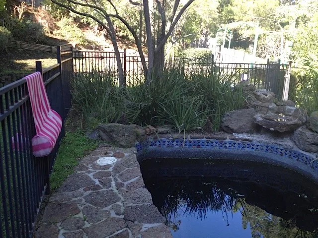 San Rafael Hillside Landscape Revitalization by Gardens & Gables - Photo 6
