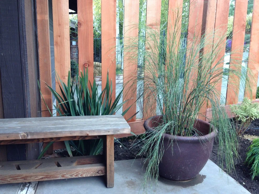 San Rafael Hillside Landscape Revitalization by Gardens & Gables - Photo 15
