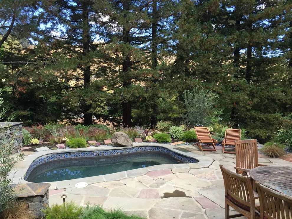San Rafael Hillside Landscape Revitalization by Gardens & Gables - Photo 12