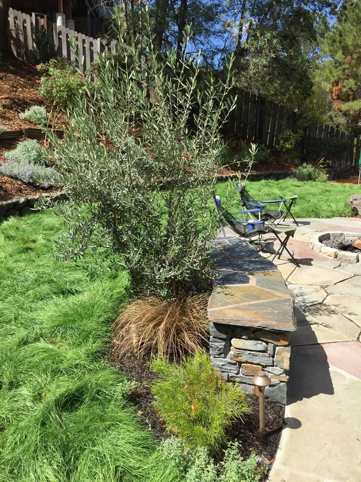 San Rafael Hillside Landscape Revitalization by Gardens & Gables - Photo 8