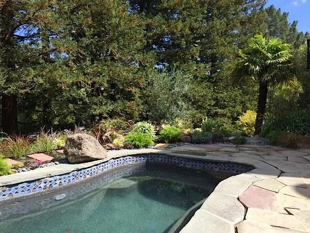 San Rafael Hillside Landscape Revitalization by Gardens & Gables - Photo 4