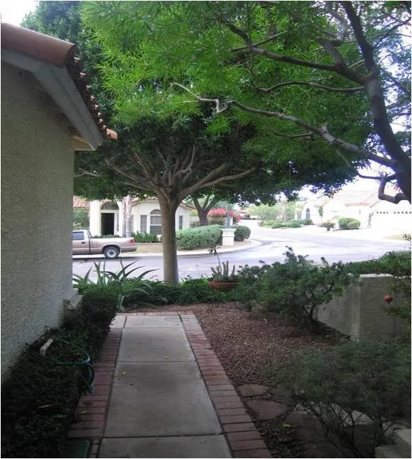 Paver Showcase: Distinctive Paver Designs by Living Rooms Landscape Design - Photo 5