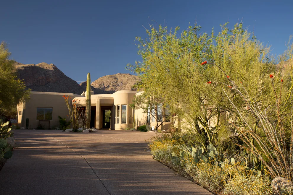 PIMA GORGE by Landscape Design West, LLC - Photo 3