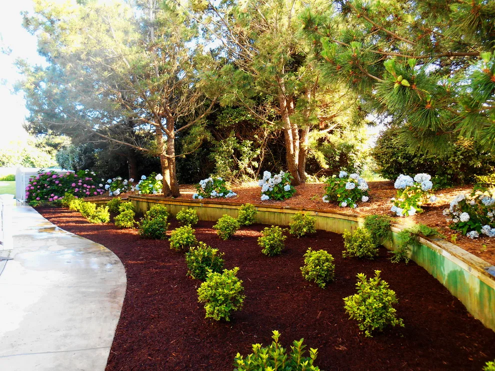 Pine Island Home by Caribbean Botanical Designs - Photo 13