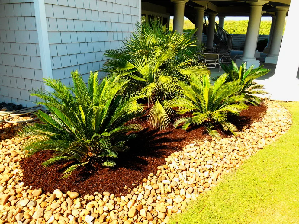 Pine Island Home by Caribbean Botanical Designs - Photo 7