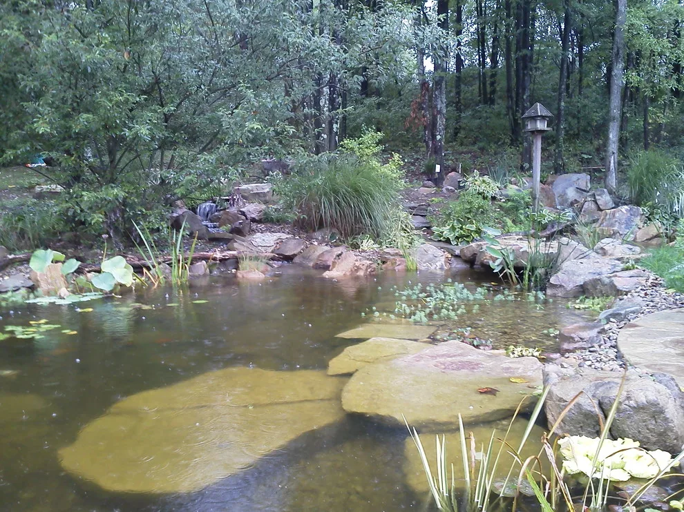 Aquatic Oasis Landscape by Soergel Landscapes, Aquascapes, Florascapes - Photo 3
