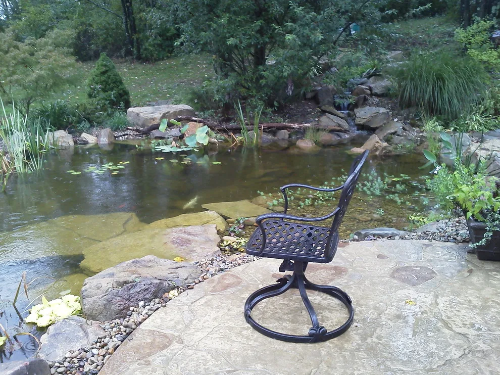 Aquatic Oasis Landscape by Soergel Landscapes, Aquascapes, Florascapes - Photo 2