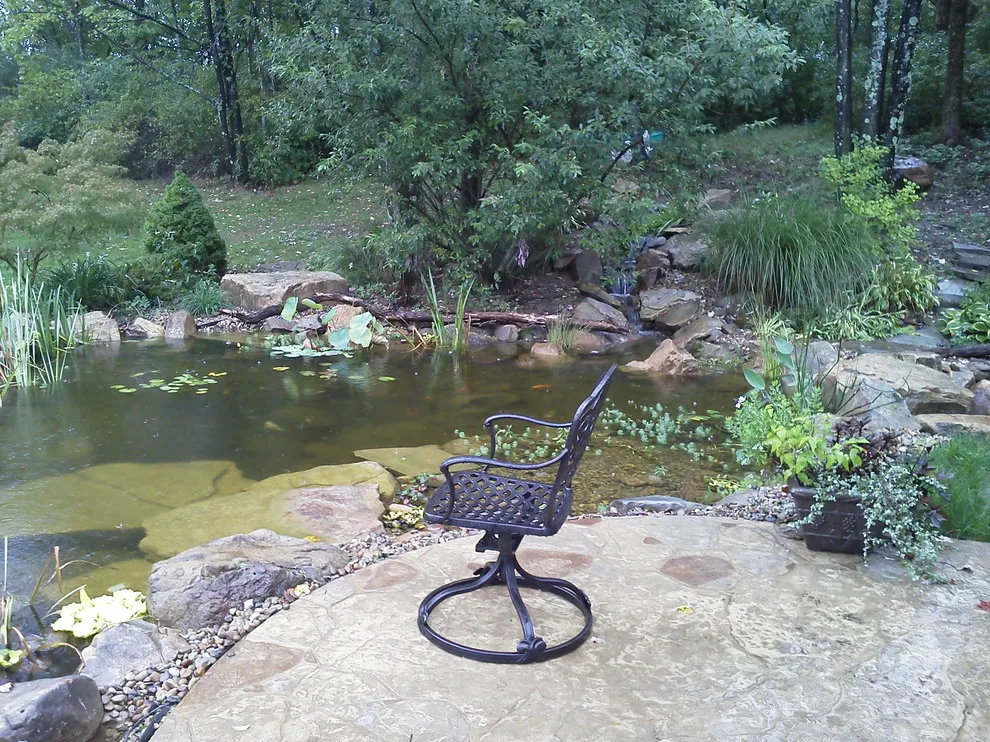 Aquatic Oasis Landscape by Soergel Landscapes, Aquascapes, Florascapes - Photo 4