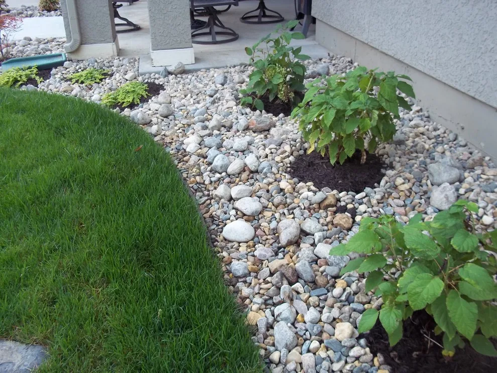 Aquatic Ventures by Second Nature Outdoor Living & Landscaping - Photo 8