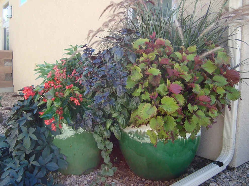 Garden Scentsations - Photo 11