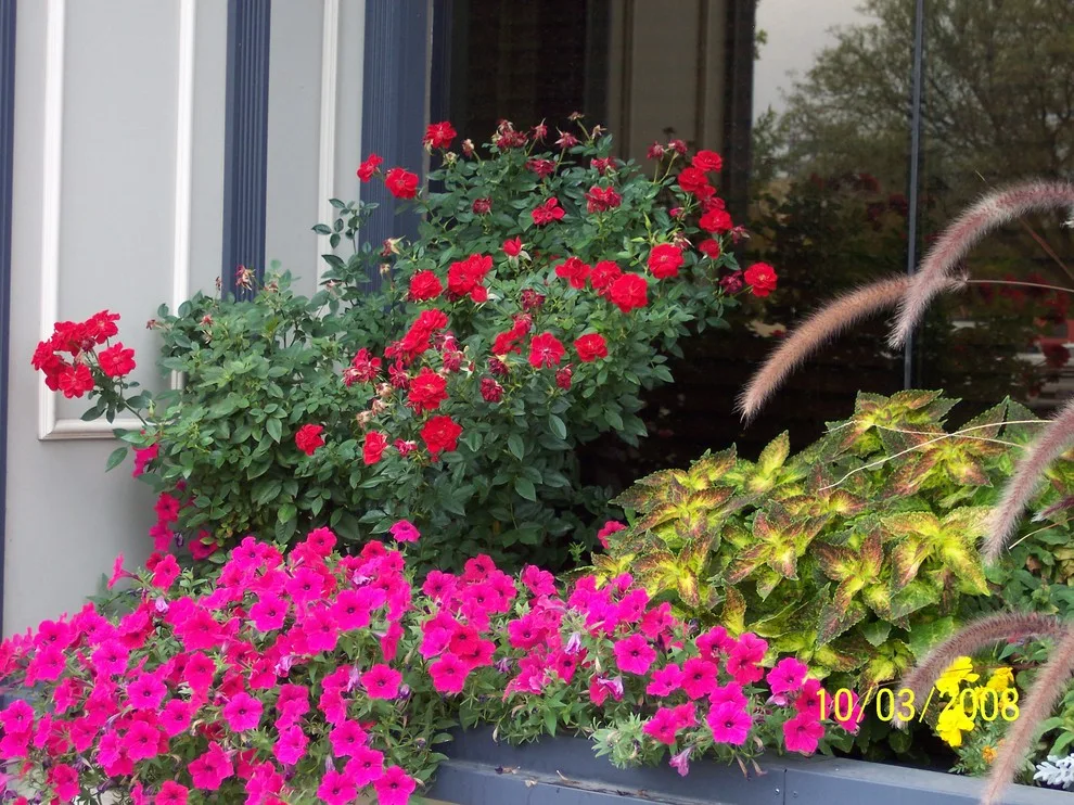 Garden Scentsations - Photo 3