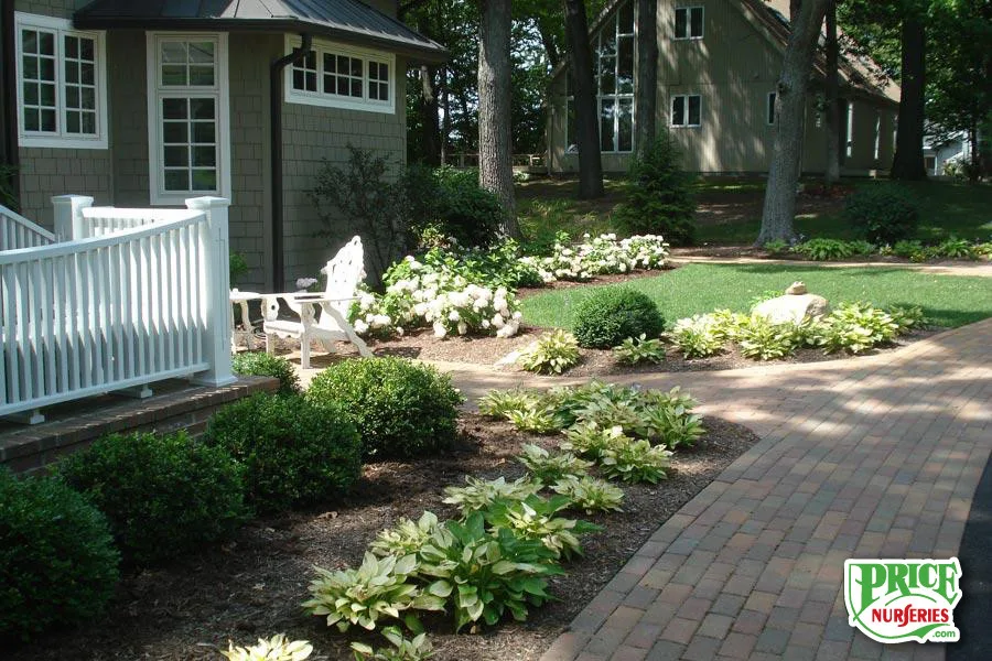 Price Nurseries - Photo 2