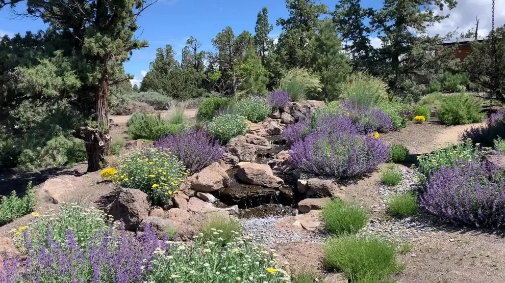 Heart Springs Landscape Design, LLC - Photo 8