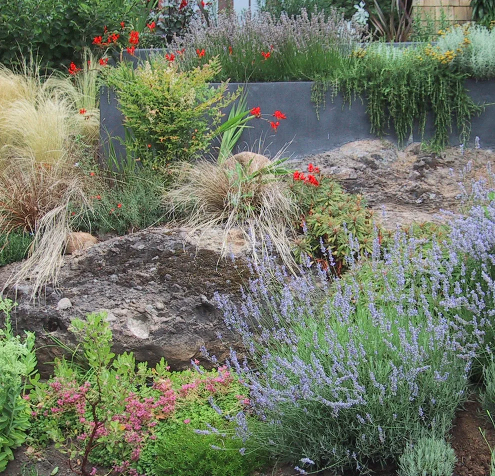 Barton Robertson by Lovinger Robertson Landscape Architects - Photo 2