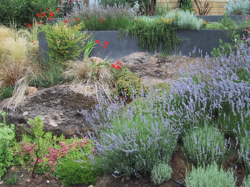 Barton Robertson by Lovinger Robertson Landscape Architects - Photo 6