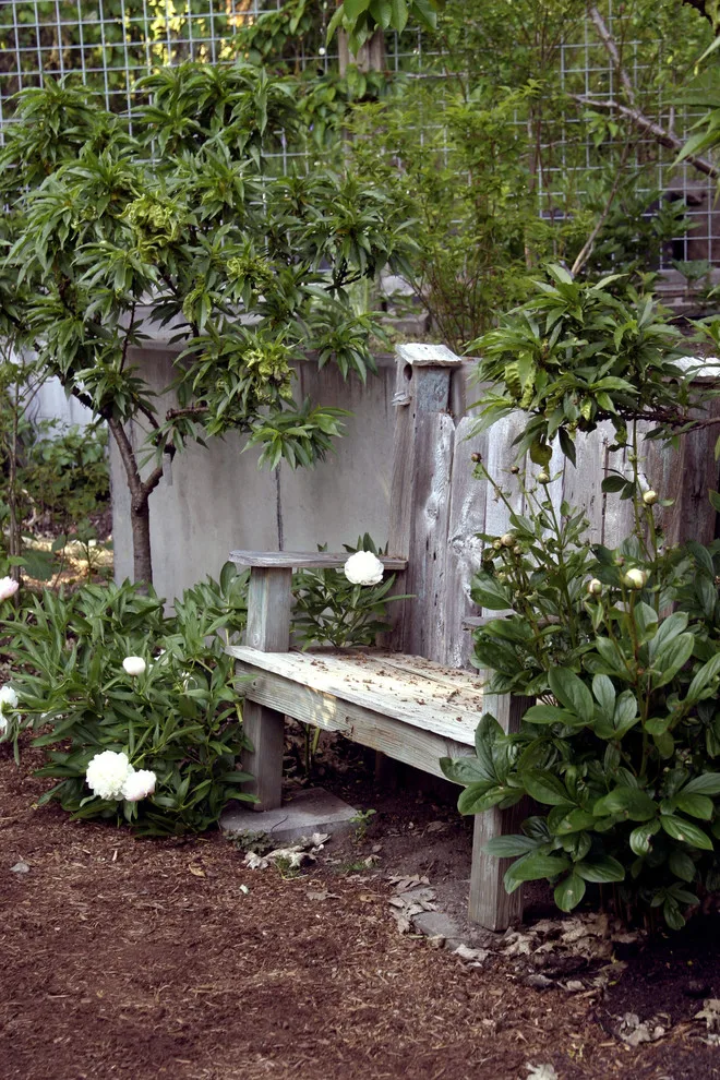 Barton Robertson by Lovinger Robertson Landscape Architects - Photo 8