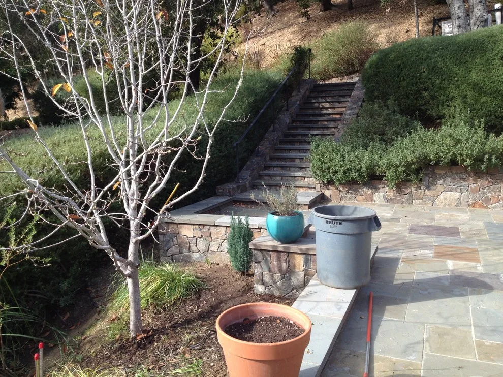 Ross Elevated Vegetable Garden by Gardens & Gables - Photo 17