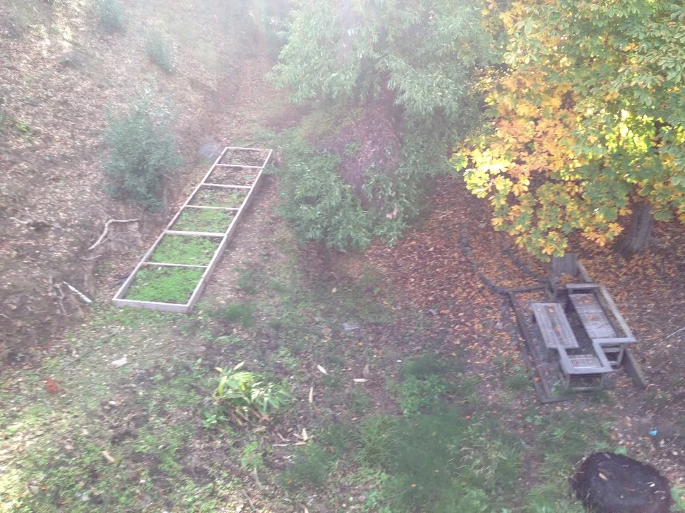 Ross Elevated Vegetable Garden by Gardens & Gables - Photo 14