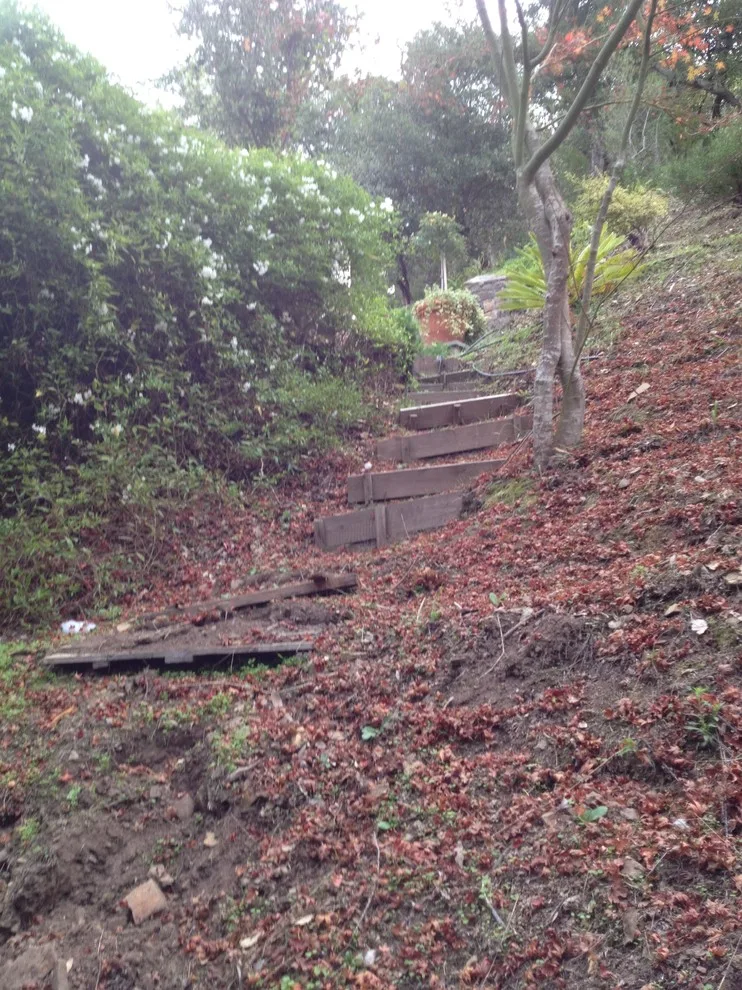 Ross Elevated Vegetable Garden by Gardens & Gables - Photo 12