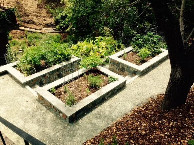 Ross Elevated Vegetable Garden by Gardens & Gables - Photo 7