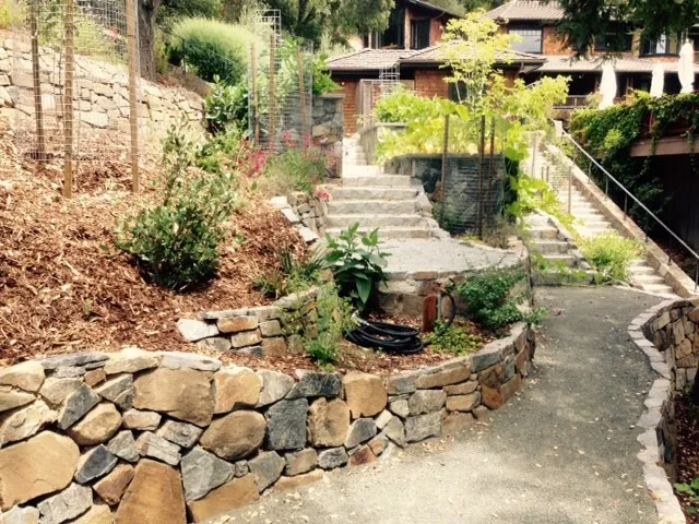 Ross Elevated Vegetable Garden by Gardens & Gables - Photo 3