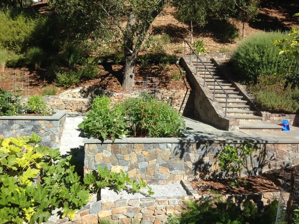 Ross Elevated Vegetable Garden by Gardens & Gables - Photo 9