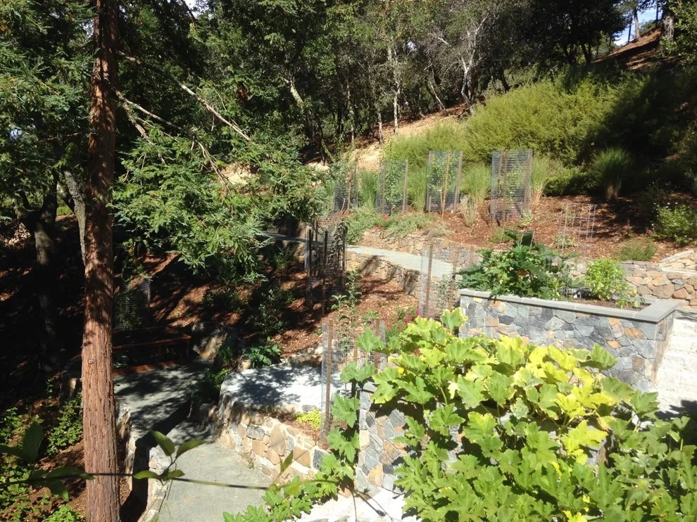 Ross Elevated Vegetable Garden by Gardens & Gables - Photo 29